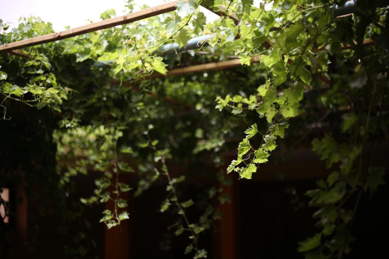 Auberge Jaafar มิเดลท์ ภายนอก รูปภาพ
